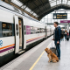 Viajero con un perro a punto de entrar a un tren RENFE