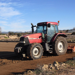 La Unió alerta de que solo 4.115 productores recibieron en 2024 la devolución del impuesto del gasóleo agrícola La Unió alerta de que solo 4.115 productores recibieron en 2024 la devolución del impuesto del gasóleo agrícola