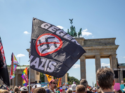 Alarma en Alemania por el avance de AfD