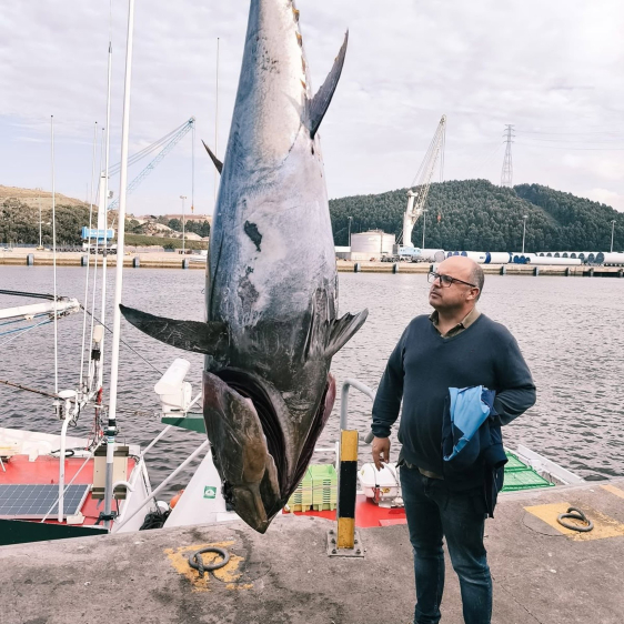 La rula de Avilés vende su segundo atún rojo de 193 kilos capturado en Cabo Peñas La rula de Avilés vende su segundo atún rojo de 193 kilos capturado en Cabo Peñas