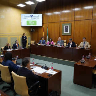 Rocío Díaz detalla el nuevo plan andaluz para ampliar la oferta y el acceso a vivienda asequible Rocío Díaz detalla el nuevo plan andaluz para ampliar la oferta y el acceso a vivienda asequible
