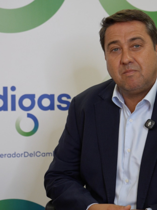 Joan Batalla, presidente de SEDIGAS