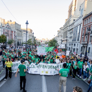 Decenas de personas durante una concentración con motivo de la huelga en educación | Europa Press Decenas de personas durante una concentración con motivo de la huelga en educación | Europa Press