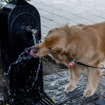 Aunque la ola de calor no es oficial, las temperaturas serán más altas de los normal.