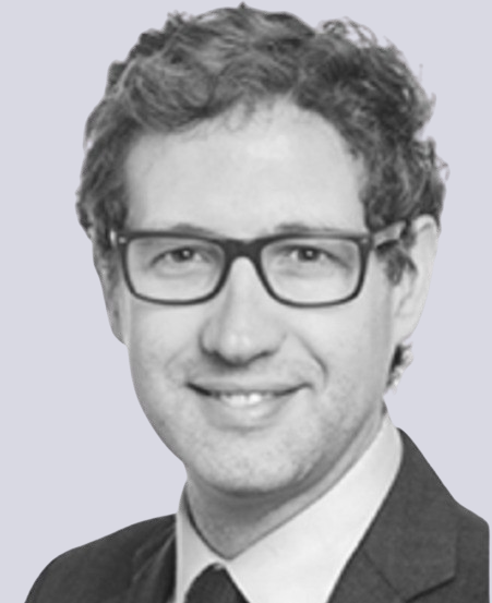 Domènec Ruiz Devesa