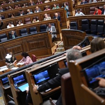 Varios diputados votan durante una sesión plenaria extraordinaria, en el Congreso de los Diputados | FERNANDO SÁNCHEZ (EUROPA PRESS). Varios diputados votan durante una sesión plenaria extraordinaria, en el Congreso de los Diputados | FERNANDO SÁNCHEZ (EUROPA PRESS).