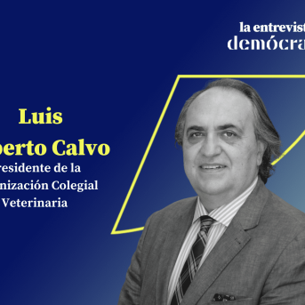 Captura de Pantalla 2025-03-04 a las 16.24.28 Captura de Pantalla 2025-03-04 a las 16.24.28