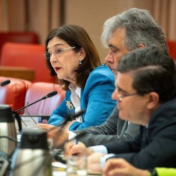 Cani Fernández (CNMC) rinde cuentas en el Congreso sobre el apagón