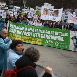 Varias personas con una pancarta y carteles durante una concentración de veterinarios por la polémica de la ley de medicamentos, frente al Ministerio de Agricultura | Fernando Sánchez (Europa Press).