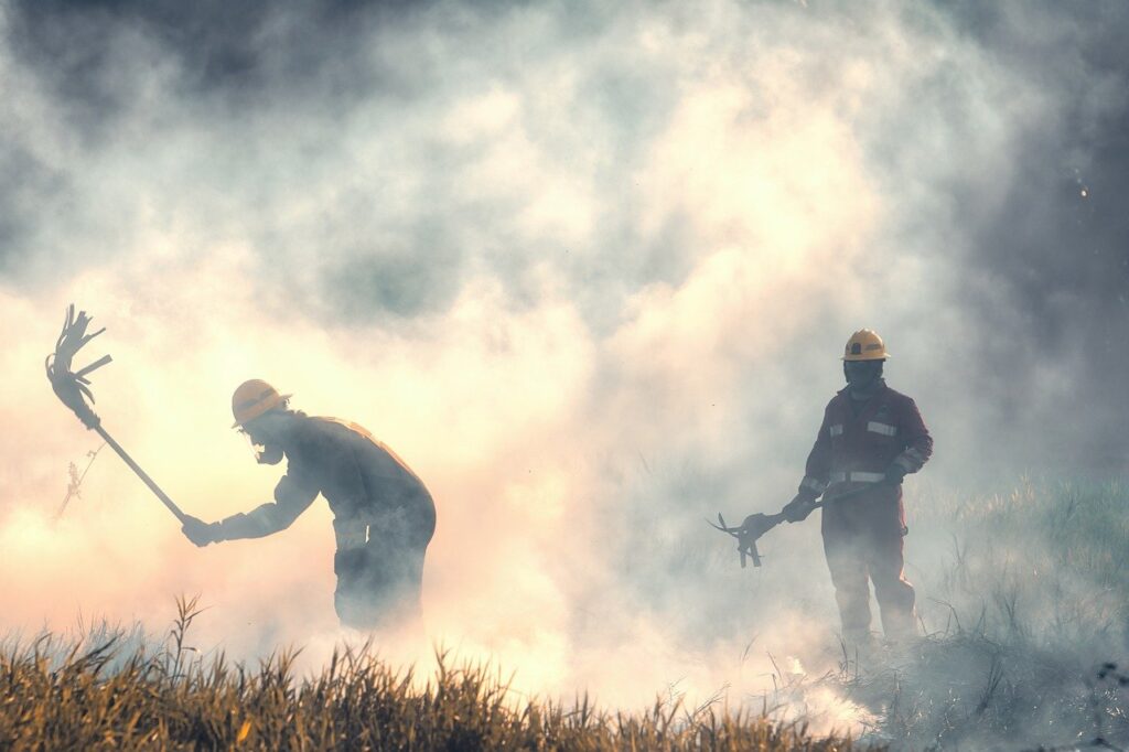 Imagen de archivo de dos bomberos forestales trabajando en un incendio. Fuente Pixabay