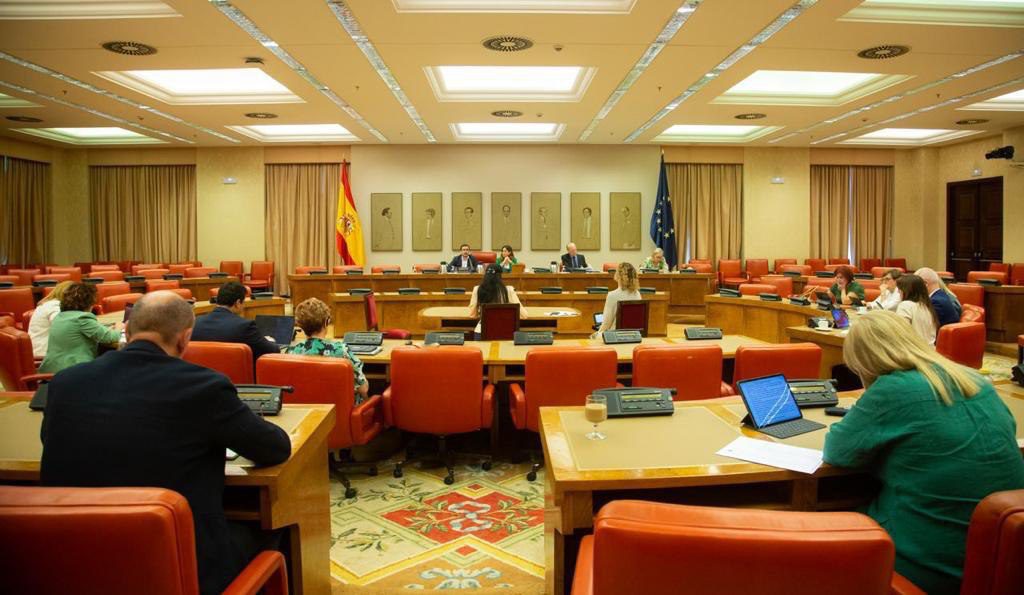 El ministro de Consumo, Alberto Garzón, durante una comparecencia ante la Comisión de Sanidad y Consumo del Congreso, en junio de 2022 | MINISTERIO DE CONSUMO (FLICKR)