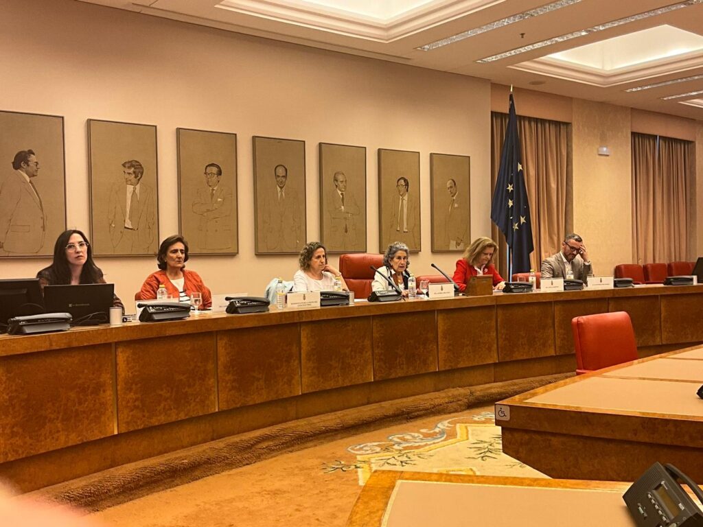 Jornada sobre las garantías y la desinformación en el sistema electoral español. Fuente: Observatorio Complutense de Desinformación