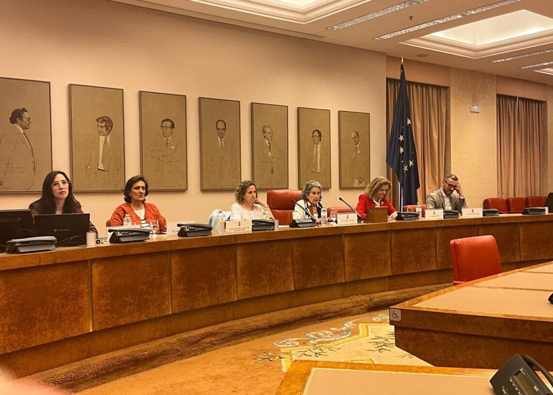 Jornada sobre las garantías y la desinformación en el sistema electoral español. Fuente: Observatorio Complutense de Desinformación