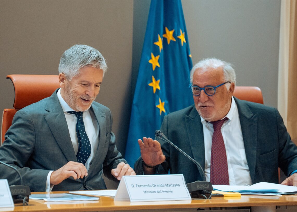 El ministro del Interior, Fernando Grande-Marlaska, y el director general de Tráfico, Pere Navarro, en una imagen de archivo | GABRIEL LUENGAS (EUROPA PRESS).