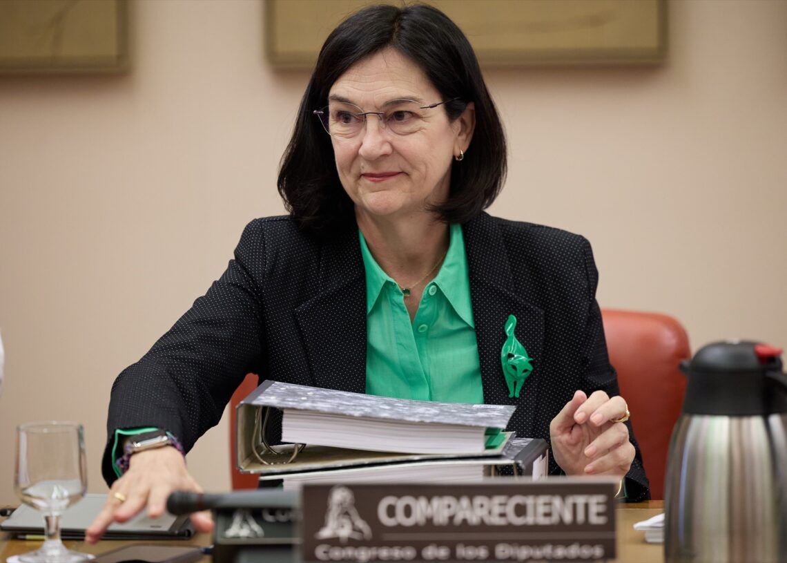 La presidenta de la Comisión Nacional de los Mercados y Competencia (CNMC), Cani Fernández, comparece en la Comisión de Economía, Comercio y Transformación Digital, en el Congreso de los Diputado.
Jesús Hellín / Europa Press
19 SEPTIEMBRE 2024;CNMC;CONGRESO;COMISION;ECONOMIA
19/9/2024
