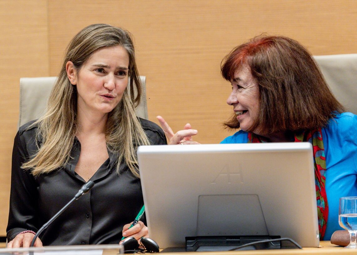 La vicepresidenta para la Transición Ecológica y Reto Demográfico, Sara Aagesen, comparece en la Comisión de Transición Ecológica y Reto Demográfico, en el Congreso de los Diputados, a 27 de enero de 2025, en Madrid | Ricardo Rubio / Europa Press