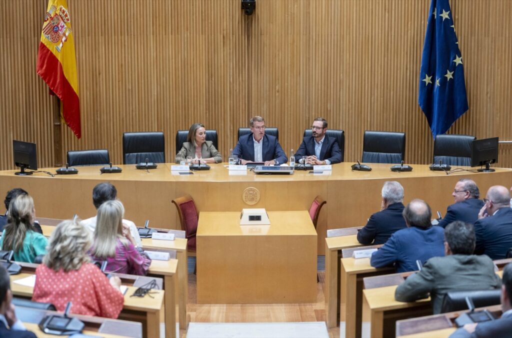Imagen de archivo del líder del PP, Alberto Núñez Feijóo, presidiendo la reunión de sus diputados y senadores en el Congreso | EUROPA PRESS.