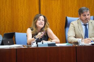Presión política en el Parlamento andaluz por el caso Sandra Peña: la Junta defiende sus protocolos de acoso y pide «responsabilidad compartida»