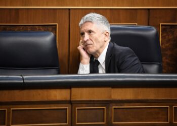 El ministro de Interior, Fernando Grande Marlaska, durante un pleno en el Congreso de los DiputadosFernando Sánchez - Europa Press