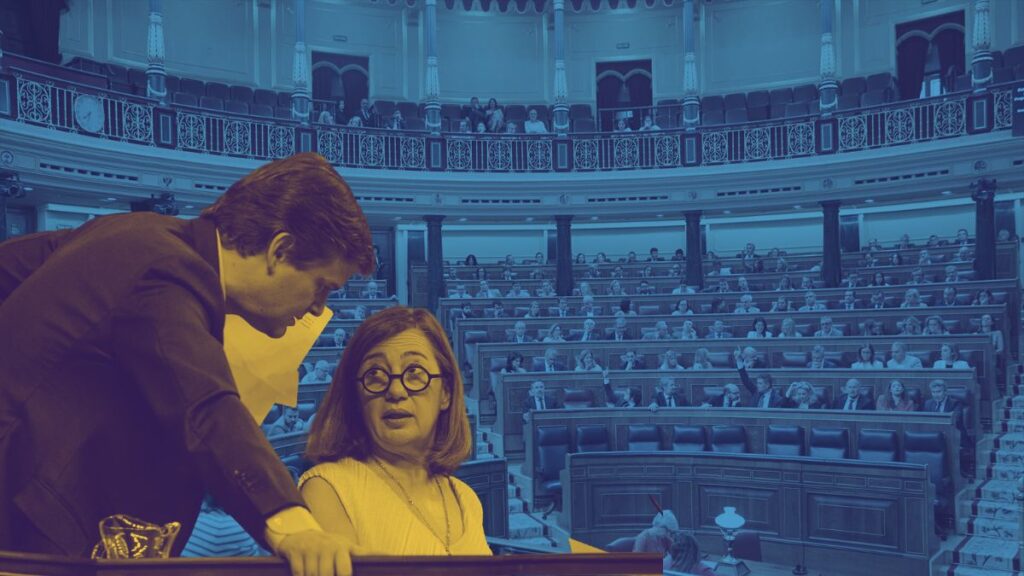 Ilustración Pleno escoba 22 de julio