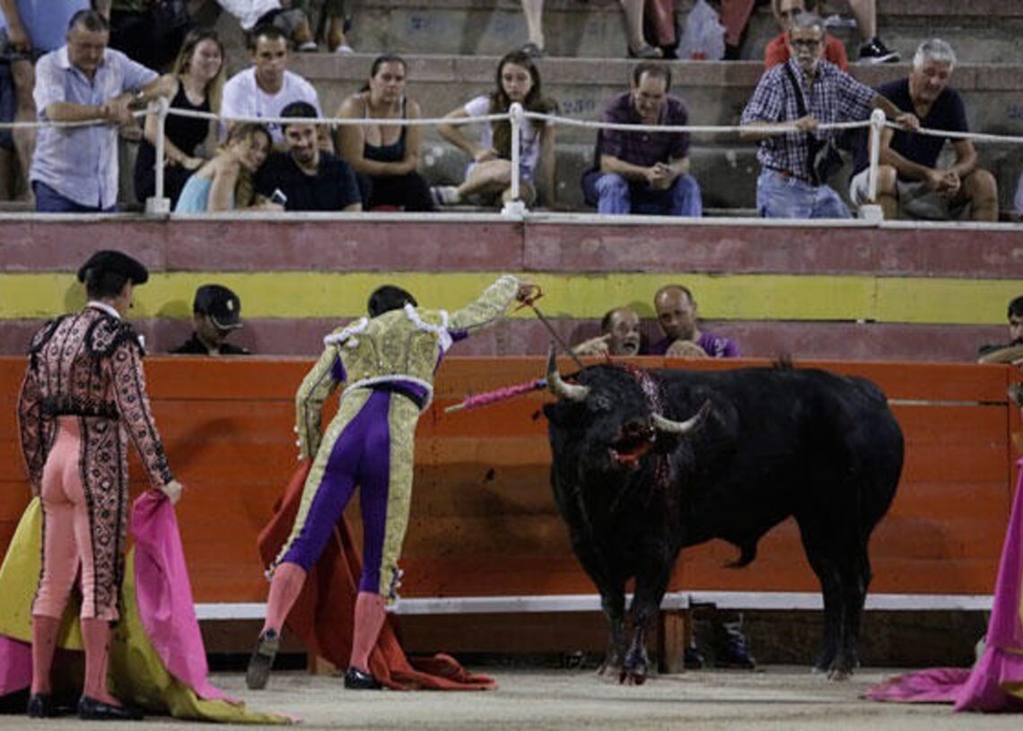 Archivo - Imagen de una corrida de toros en PalmaACTÚA - Archivo