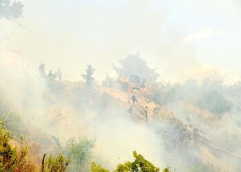 Archivo - Incendios en Latakia (Siria)Europa Press/Contacto/Monsef Memari - Archivo