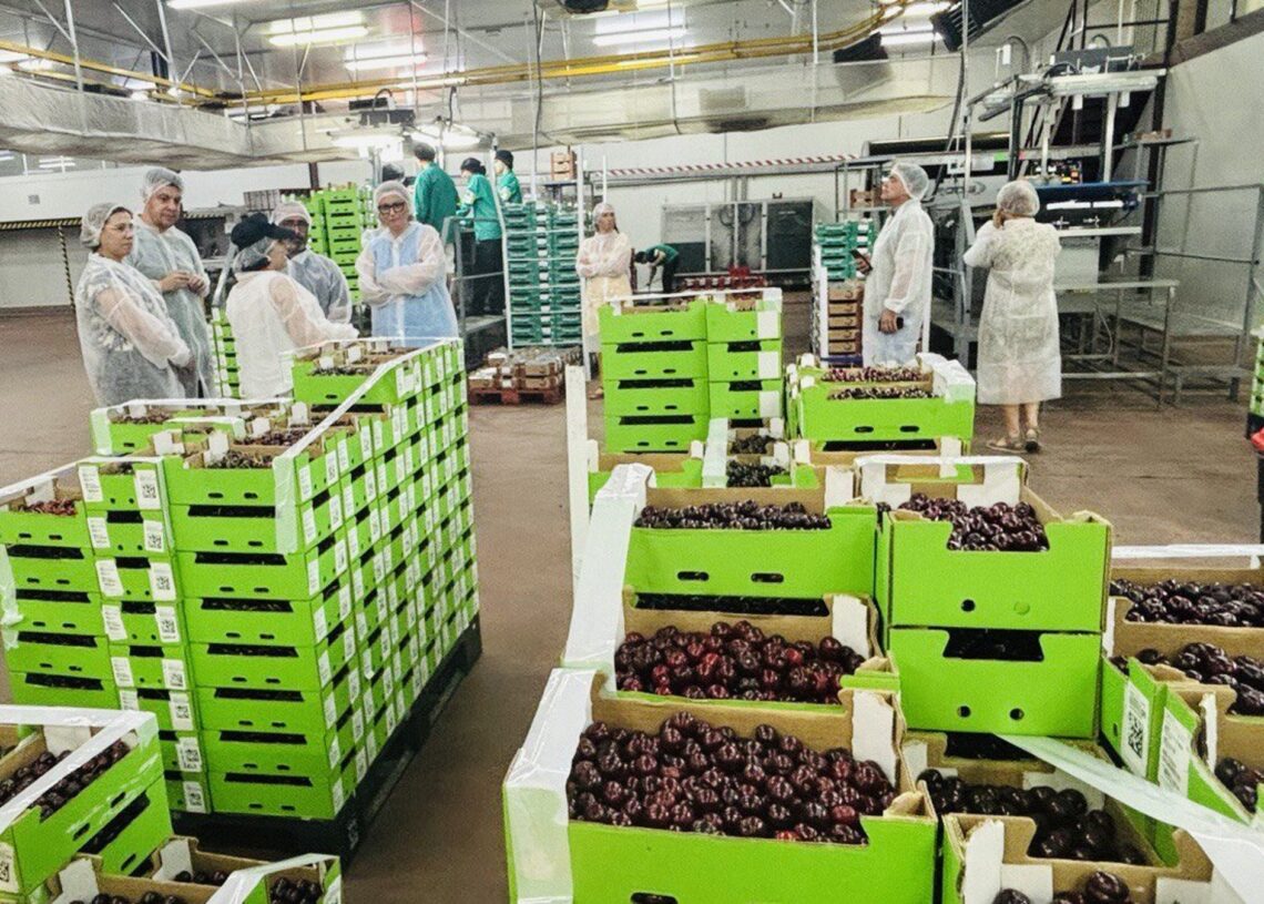 La presidenta de la Asamblea de Extremadura, Blanca Martín, y el presidente de la Diputación de Cáceres, Miguel Ángel Morales, visitan la Agrupación de Cooperativas del Valle del JerteASAMBLEA DE EXTREMADURA