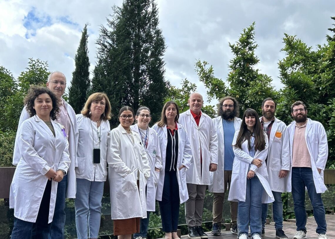 Alejandra Martínez (Uniovi), Segundo González (Uniovi), Ana Pilar González (HUCA), Candelaria Aguilar (Uniovi), Lucía Morais (HUCA), Esther González (Cabueñes), Ángel Ramírez (HUCA), Jesús Pascual (Uniovi), Rocío Granda (Uniovi), Christian Sordo (Uniovi).IUOPA