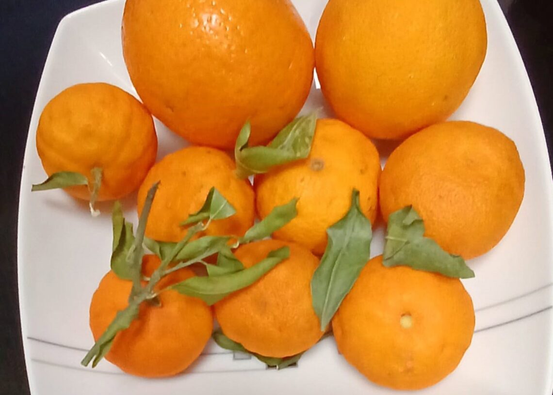 Archivo - NaranjasEUROPA PRESS - Archivo