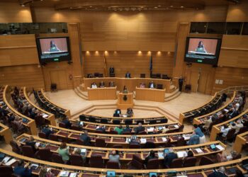 Pleno del Senado.Diego Radamés - Europa Press