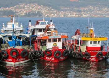 Archivo -    La cooperativa de Armadores de Pesca del Puerto de Vigo,  ARVI - Archivo