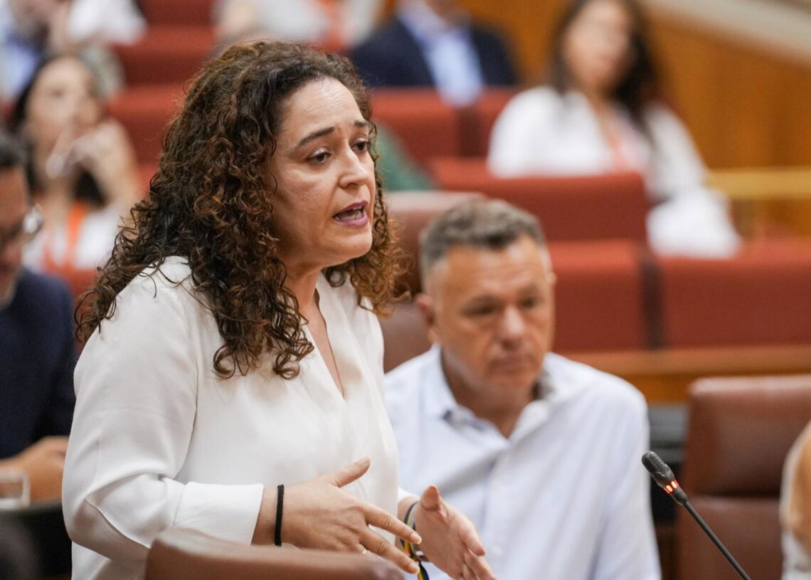 La portavoz del Grupo Por Andalucía, Inma Nieto, interviene durante la sesión de control en el pleno del Parlamento andaluz. María José López - Europa Press