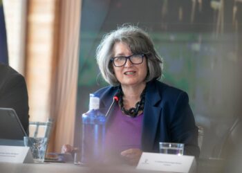La consejera de Desarrollo Sostenible, Mercedes GómezJCCM