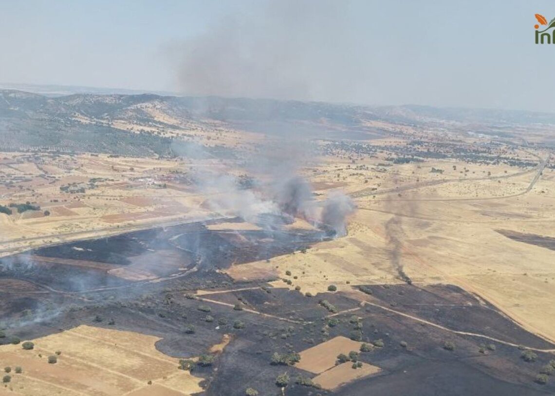 Un incendio en Brazatortas obliga a cortar la circulación del tren entre Puertollano y Venta la InésPLAN INFOCAM