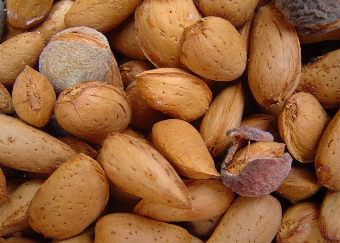 Archivo - Almendras.EUROPA PRESS - Archivo