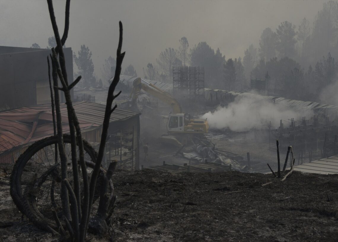 (Foto de ARCHIVO)
Vista de la Empresa Autoneum quemada por el fuego, en el polígono industrial de A Rúa, a 16 de agosto de 2025, en A Rúa, Ourense, Galicia (España) | ROSA VEIGA