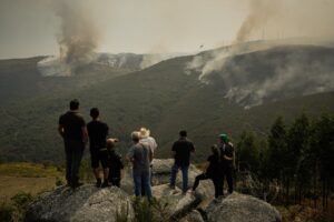 Afectados por los incendios: qué comunidades han aprobado ya ayudas y cómo solicitarlas