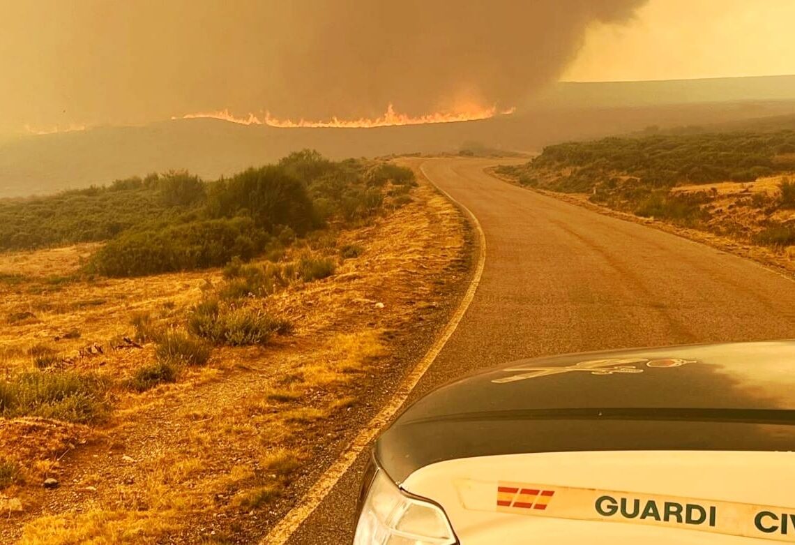 Incendio en Sanabria (Zamora). Subdelegación del Gobierno en Zamora.