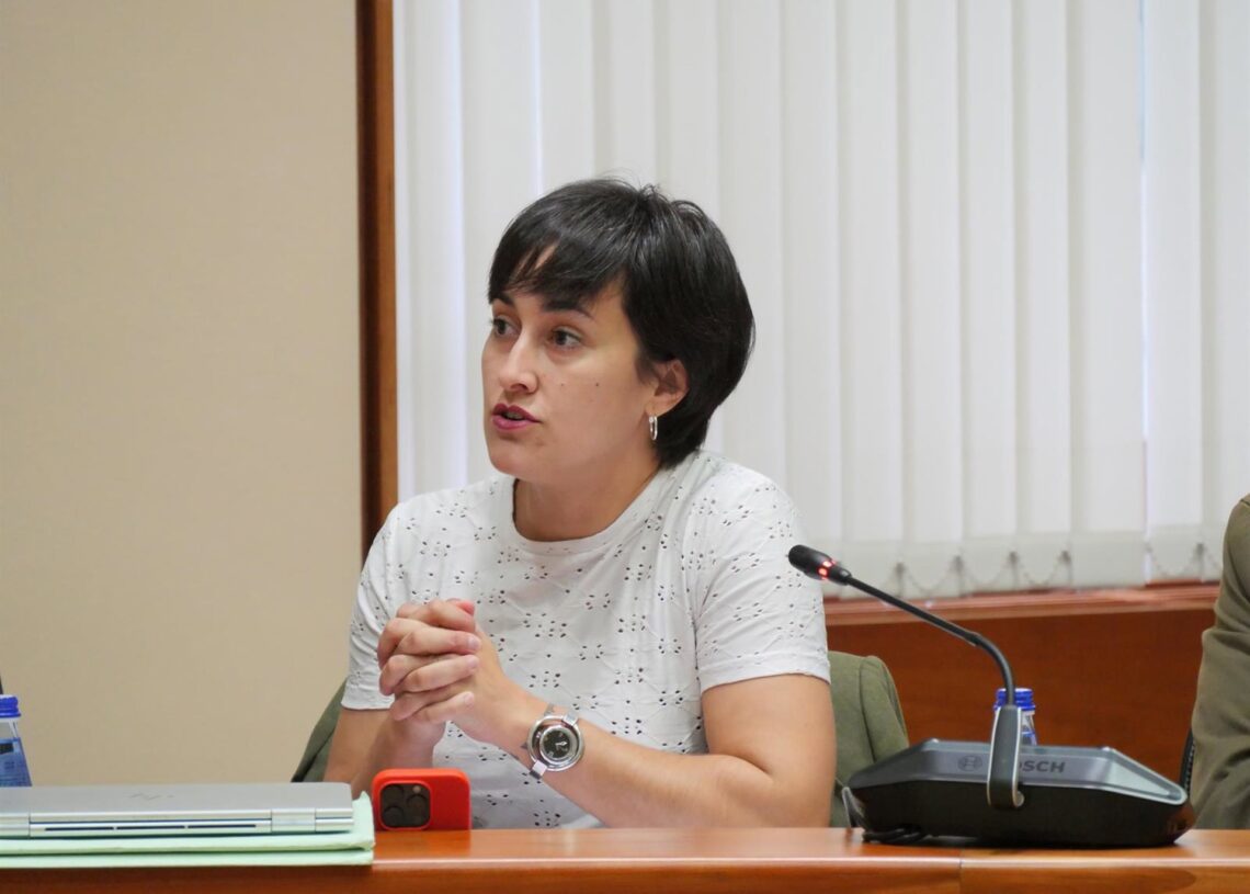 Archivo - La diputada y responsable de Infancia del BNG, Ariadna Fernández.BNG - Archivo