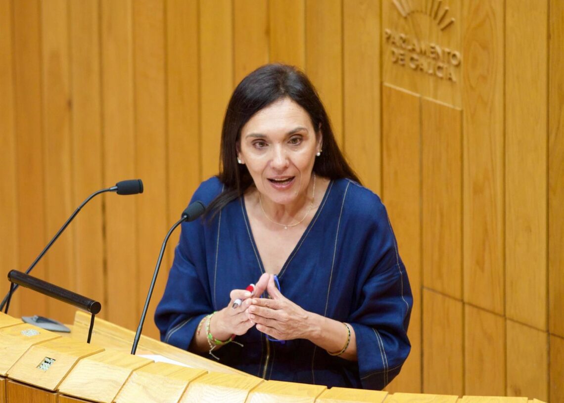 La diputada socialista Carmen Rodríguez DacostaPSDEG