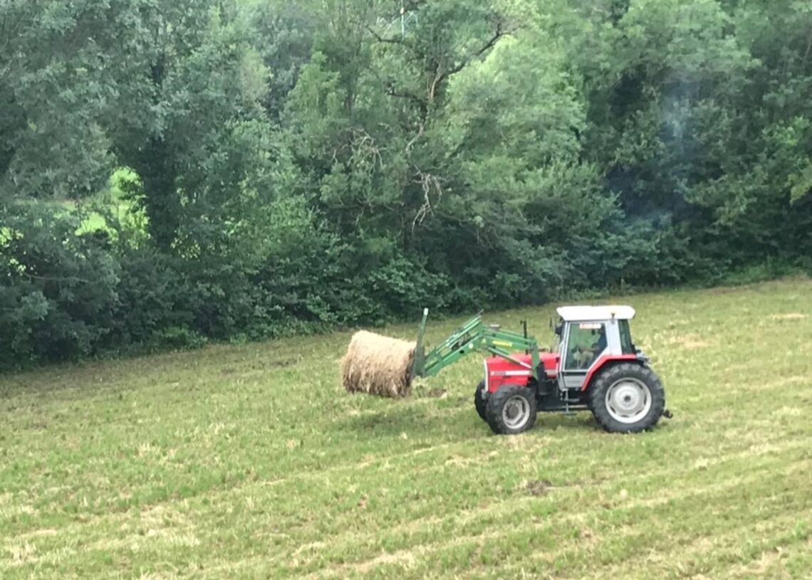 Archivo - Agricultor con tractor en el campo EUROPA PRESS - Archivo
