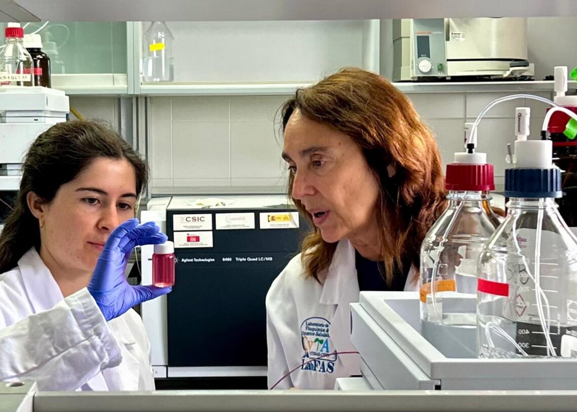 Investigadoras del Centro de Edafología y Biología Aplicada del Segura.CSIC