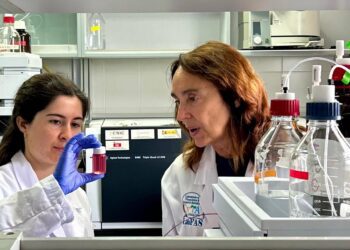 Investigadoras del Centro de Edafología y Biología Aplicada del Segura.CSIC