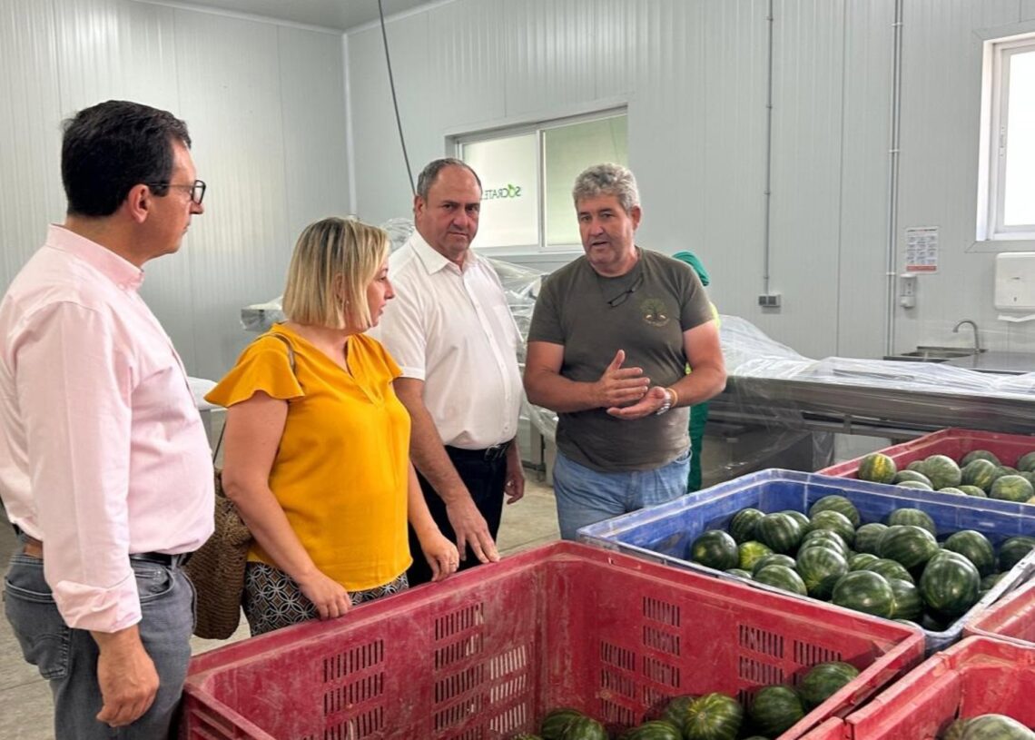 Visita del consejero de Agricultura a la empresa Sócrates Hortícola S.L. En Camuñas.JCCM