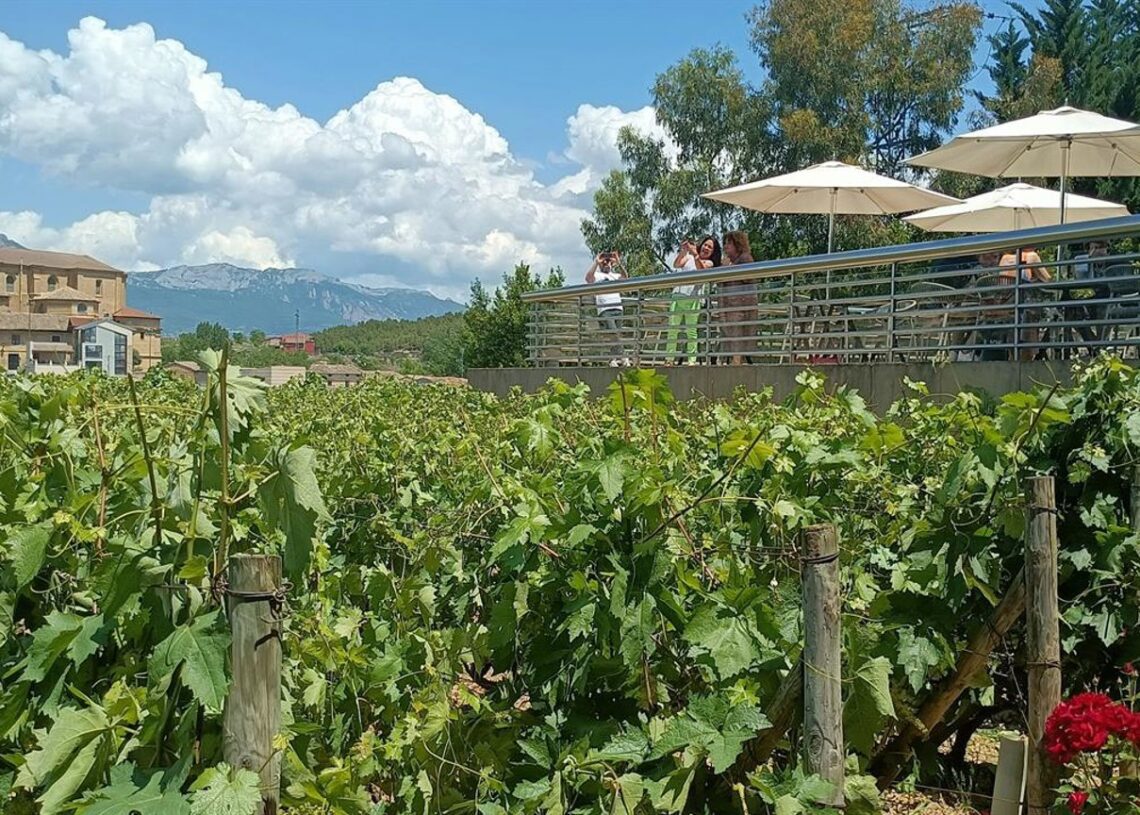 Archivo - Viñedos en Rioja alavesaEUROPA PRESS - Archivo