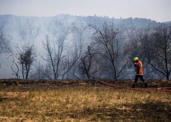 Un bombero trabaja en las tareas de contención del incendio en el departamento francés de AudeMarc Asensio Clupes/ZUMA Press W / DPA
