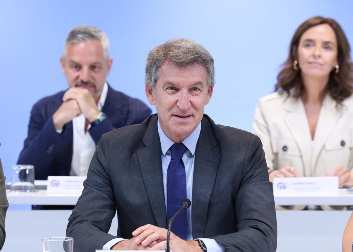 El presidente del Partido Popular, Alberto Núñez Feijóo. Marta Fernández - Europa Press