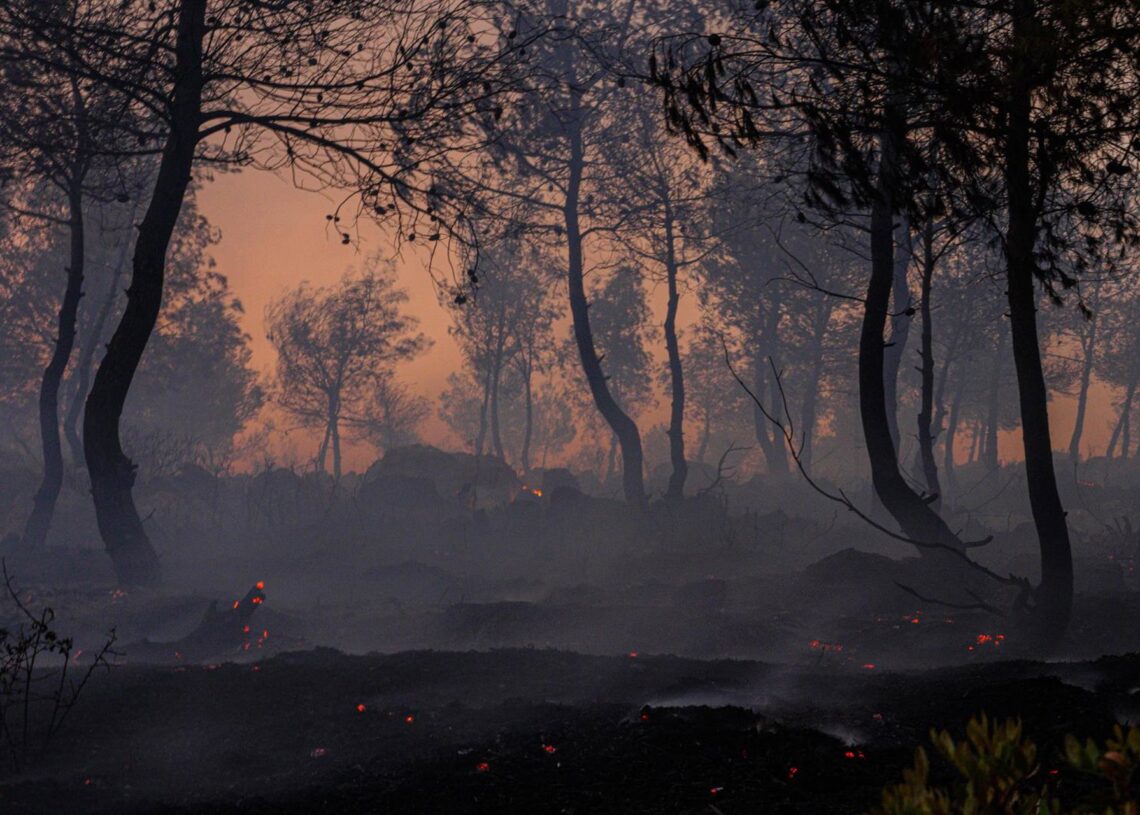 Archivo - Imagen de archivo de un incendio forestal en GreciaEuropa Press/Contacto/Giorgos Arapekos - Archivo