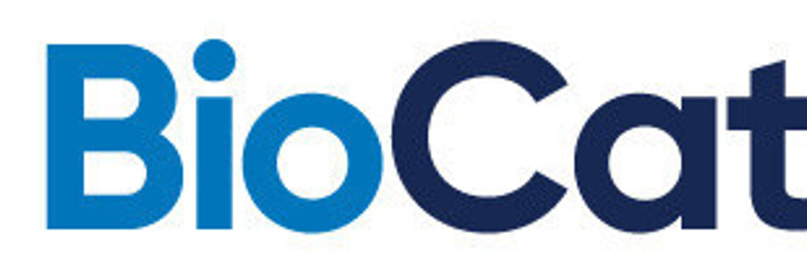 Archivo - Logo de BioCatch. BIOCATCH/PR NEWSWIRE - Archivo