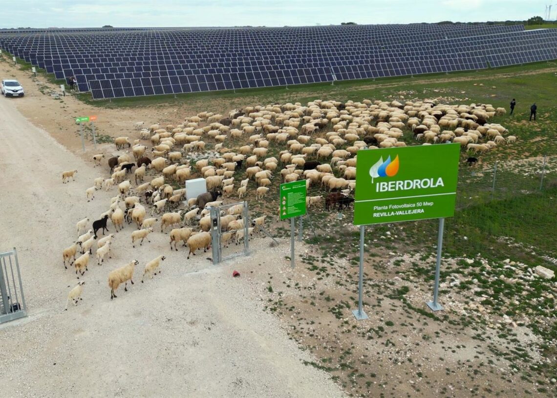 Planta fotovoltaica de Iberdrola en Revilla VallejeraIBERDROLA